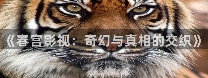 在线麻豆国产电影：《春宫影视：奇幻与真相的交织》