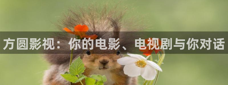 国产麻豆精品电影在线观看：方圆影视：你的电影、电视剧与你对话