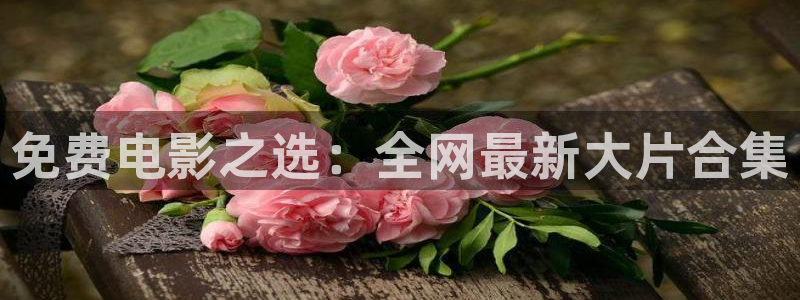 m麻豆电影：免费电影之选：全网最新大片合集