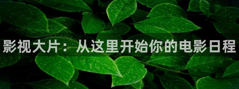 麻豆狠操高清：影视大片：从这里开始你的电影日程