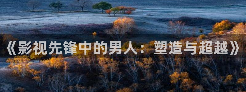 麻豆免费看电影：《影视先锋中的男人：塑造与超越》