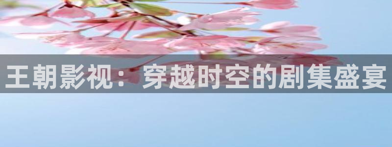 国产一级麻豆电影：王朝影视：穿越时空的剧集盛宴