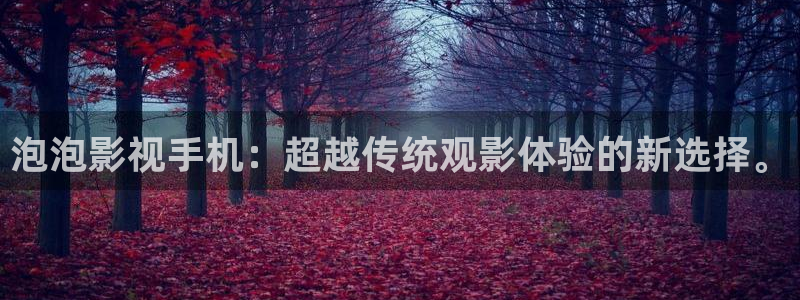 麻豆国产电影在线免费观看：泡泡影视手机：超越传统观影体验的新选择。