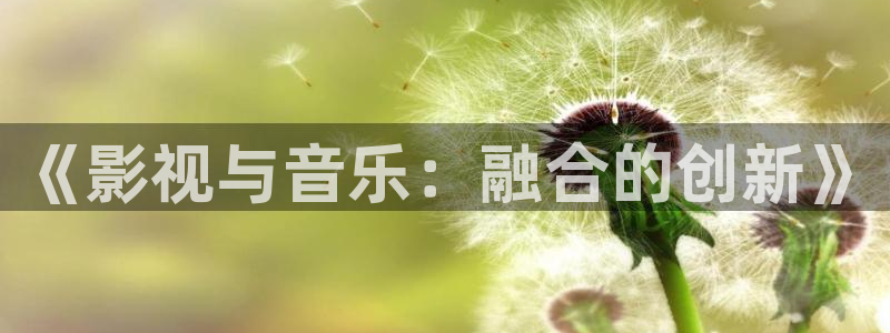 麻豆影视大全：《影视与音乐：融合的创新》