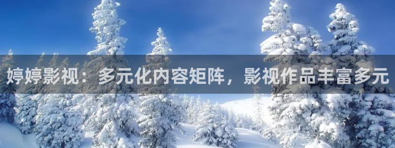 一区二区三区麻豆蜜桃视频：婷婷影视：多元化内容矩阵，影视作品丰富多元