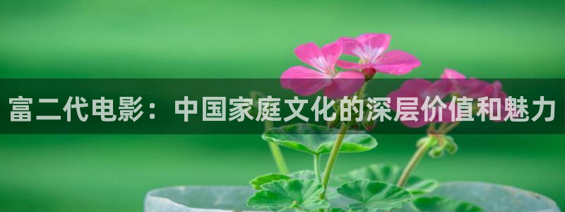 麻豆影视免费：富二代电影：中国家庭文化的深层价值和魅力